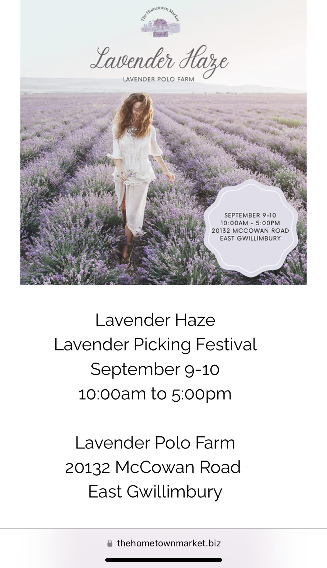 Lavender Haze  Flower Market